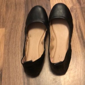 Black Flats